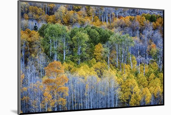 USA, Lee Vining, California. Conway Pass, Mono County.-Joe Restuccia III-Mounted Photographic Print