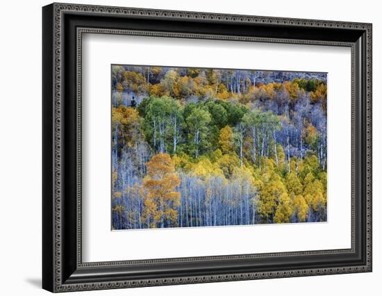 USA, Lee Vining, California. Conway Pass, Mono County.-Joe Restuccia III-Framed Photographic Print