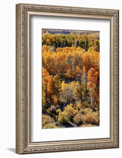 USA, Lee Vining, California. Conway Pass, Mono County.-Joe Restuccia III-Framed Photographic Print