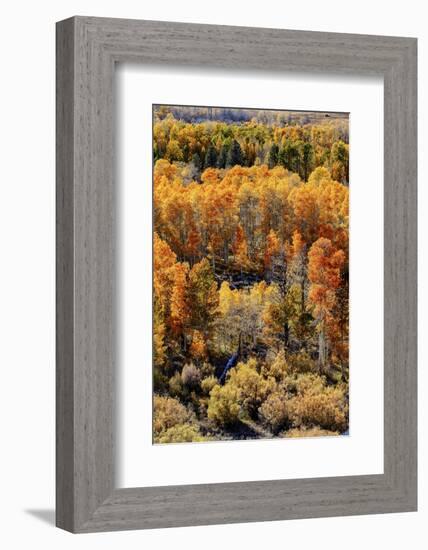 USA, Lee Vining, California. Conway Pass, Mono County.-Joe Restuccia III-Framed Photographic Print