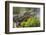 USA, Louisiana, Atchafalaya National Heritage Area. Alligator sunning on log.-Jaynes Gallery-Framed Photographic Print