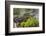 USA, Louisiana, Atchafalaya National Heritage Area. Alligator sunning on log.-Jaynes Gallery-Framed Photographic Print