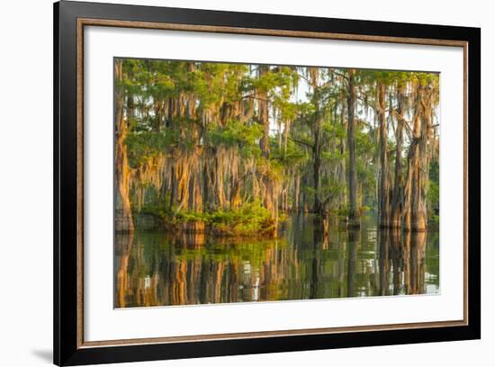 USA, Louisiana, Atchafalaya National Wildlife Refuge. Sunrise on cypress trees and Spanish moss.-Jaynes Gallery-Framed Photographic Print