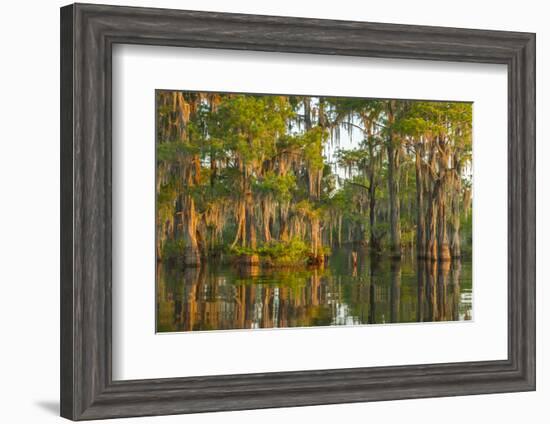 USA, Louisiana, Atchafalaya National Wildlife Refuge. Sunrise on swamp.-Jaynes Gallery-Framed Photographic Print