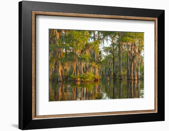 USA, Louisiana, Atchafalaya National Wildlife Refuge. Sunrise on swamp.-Jaynes Gallery-Framed Photographic Print