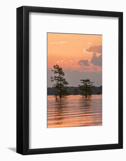 USA, Louisiana, Atchafalaya National Wildlife Refuge. Sunrise on swamp.-Jaynes Gallery-Framed Photographic Print
