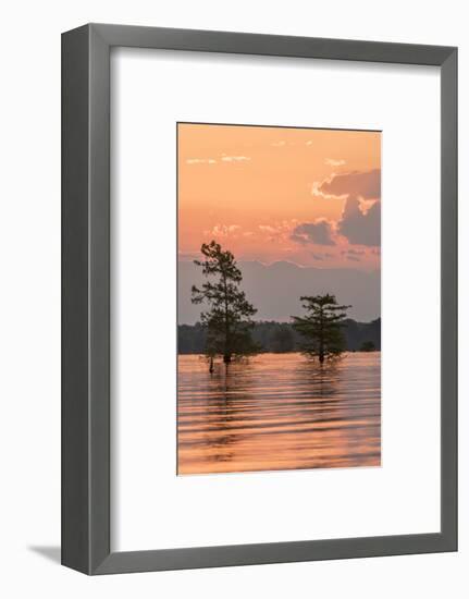 USA, Louisiana, Atchafalaya National Wildlife Refuge. Sunrise on swamp.-Jaynes Gallery-Framed Photographic Print