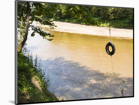 USA, Louisiana. Lower Mississippi River Basin, St. Francisville, road to Cat Island-Alison Jones-Mounted Photographic Print