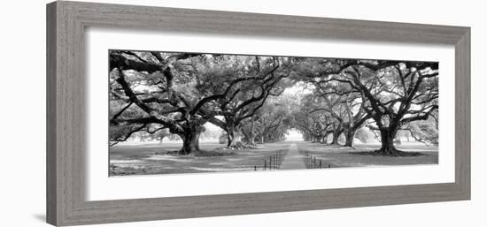 USA, Louisiana, New Orleans, brick path through alley of oak trees-null-Framed Photographic Print