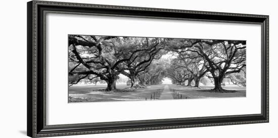 USA, Louisiana, New Orleans, brick path through alley of oak trees-null-Framed Photographic Print