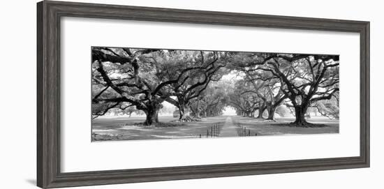 USA, Louisiana, New Orleans, brick path through alley of oak trees-null-Framed Photographic Print