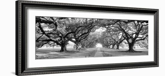 USA, Louisiana, New Orleans, brick path through alley of oak trees-null-Framed Photographic Print