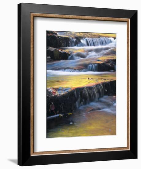 USA, Maine, Acadia National Park. Autumn Reflections in Stream-Jaynes Gallery-Framed Photographic Print