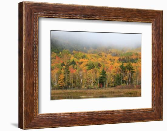 USA, Maine, Acadia National Park, Fog at Beaver Damn Pond in the Fall-Joanne Wells-Framed Photographic Print