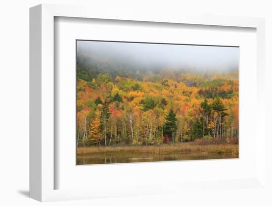 USA, Maine, Acadia National Park, Fog at Beaver Damn Pond in the Fall-Joanne Wells-Framed Photographic Print