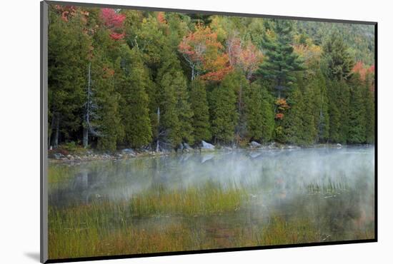 USA, Maine. Acadia National Park, morning fog at Bubble Pond.-Joanne Wells-Mounted Photographic Print