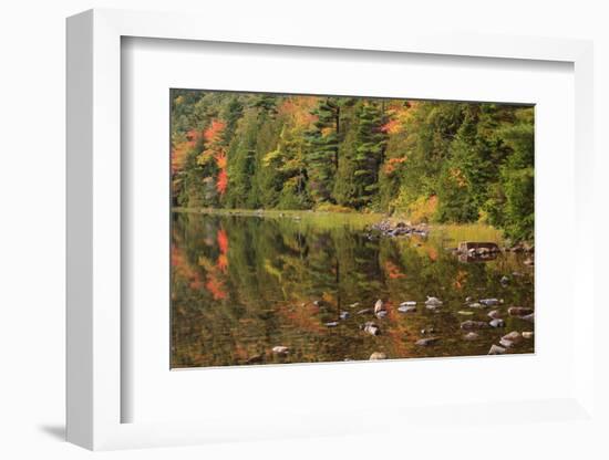 USA, Maine. Acadia National Park, reflections in the fall at Bubble Pond.-Joanne Wells-Framed Photographic Print