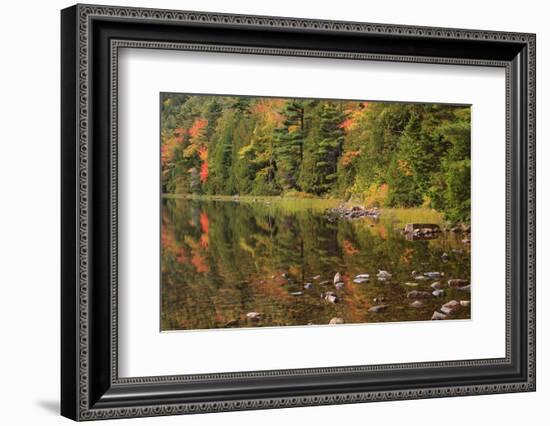 USA, Maine. Acadia National Park, reflections in the fall at Bubble Pond.-Joanne Wells-Framed Photographic Print