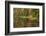 USA, Maine. Acadia National Park, reflections in the fall at Bubble Pond.-Joanne Wells-Framed Photographic Print