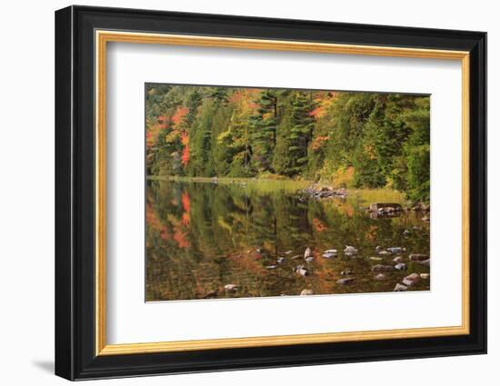 USA, Maine. Acadia National Park, reflections in the fall at Bubble Pond.-Joanne Wells-Framed Photographic Print