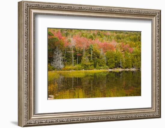 USA, Maine. Acadia National Park, reflections in the fall at Bubble Pond.-Joanne Wells-Framed Photographic Print