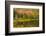 USA, Maine. Acadia National Park, reflections in the fall at Bubble Pond.-Joanne Wells-Framed Photographic Print