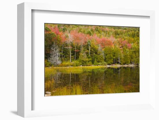 USA, Maine. Acadia National Park, reflections in the fall at Bubble Pond.-Joanne Wells-Framed Photographic Print