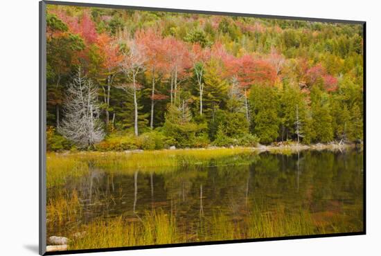 USA, Maine. Acadia National Park, reflections in the fall at Bubble Pond.-Joanne Wells-Mounted Photographic Print