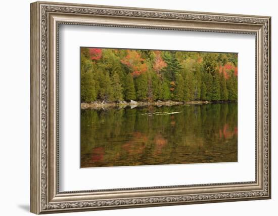 USA, Maine. Acadia National Park, reflections in the fall at Bubble Pond.-Joanne Wells-Framed Photographic Print