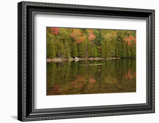 USA, Maine. Acadia National Park, reflections in the fall at Bubble Pond.-Joanne Wells-Framed Photographic Print