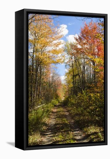 USA, Maine, Bar Harbor. Path in Fall Colors of Red and Gold Foliage-Bill Bachmann-Framed Premier Image Canvas