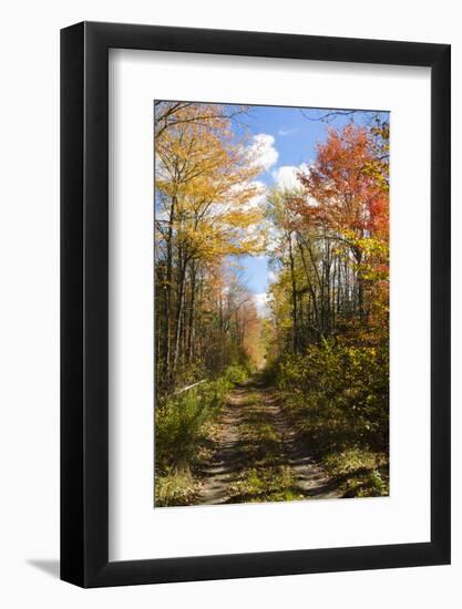 USA, Maine, Bar Harbor. Path in Fall Colors of Red and Gold Foliage-Bill Bachmann-Framed Photographic Print