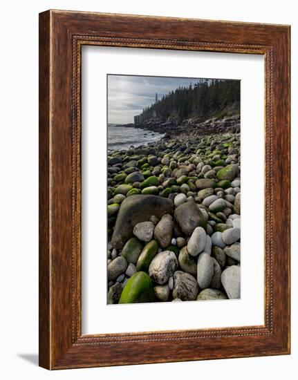 USA, Maine. Boulder Beach, Acadia National Park.-Judith Zimmerman-Framed Photographic Print