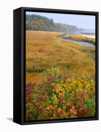 USA, Maine, Kennebunkport. Tidal Marsh on the Mousam River-Steve Terrill-Framed Premier Image Canvas