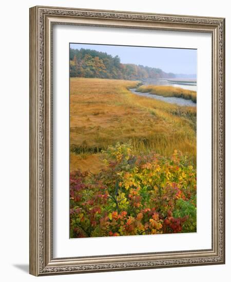 USA, Maine, Kennebunkport. Tidal Marsh on the Mousam River-Steve Terrill-Framed Photographic Print