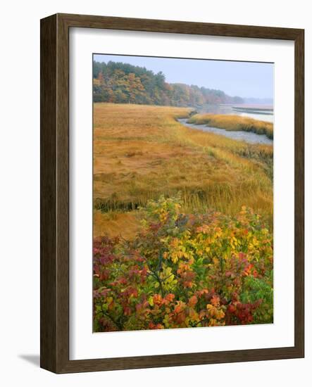 USA, Maine, Kennebunkport. Tidal Marsh on the Mousam River-Steve Terrill-Framed Photographic Print