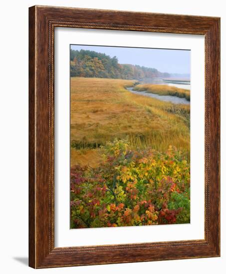 USA, Maine, Kennebunkport. Tidal Marsh on the Mousam River-Steve Terrill-Framed Photographic Print