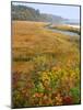 USA, Maine, Kennebunkport. Tidal Marsh on the Mousam River-Steve Terrill-Mounted Photographic Print