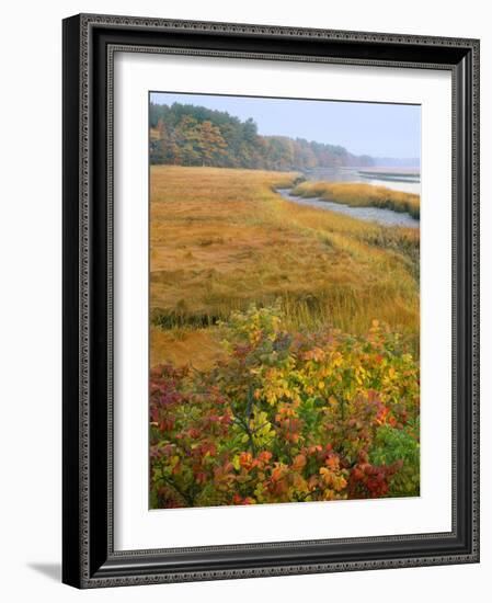 USA, Maine, Kennebunkport. Tidal Marsh on the Mousam River-Steve Terrill-Framed Photographic Print