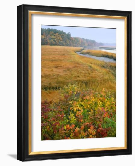 USA, Maine, Kennebunkport. Tidal Marsh on the Mousam River-Steve Terrill-Framed Photographic Print