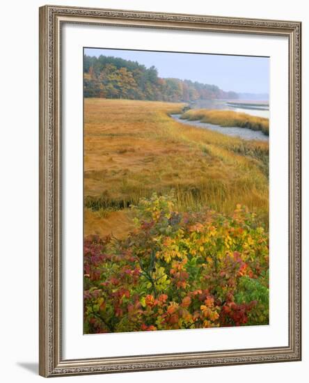 USA, Maine, Kennebunkport. Tidal Marsh on the Mousam River-Steve Terrill-Framed Photographic Print