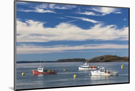 USA, Maine, Lubec. Fishing boats in Lubec Harbor-Walter Bibikow-Mounted Photographic Print