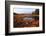 USA, Maine, Marsh Grass and Pond Near Acadia National Park-Joanne Wells-Framed Photographic Print