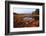 USA, Maine, Marsh Grass and Pond Near Acadia National Park-Joanne Wells-Framed Photographic Print