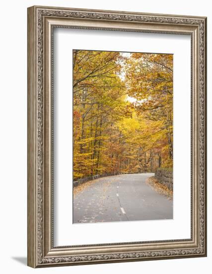 USA, Maine, Mt. Desert Island. Acadia National Park road.-Walter Bibikow-Framed Photographic Print