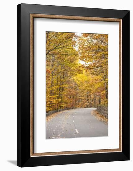 USA, Maine, Mt. Desert Island. Acadia National Park road.-Walter Bibikow-Framed Photographic Print