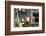 USA, Maine, Mt. Desert Island, Bernard. Lobster buoys.-Walter Bibikow-Framed Photographic Print