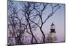 USA, Maine, Portland, Cape Elizabeth, Portland Head Light, lighthouse at dusk-Walter Bibikow-Mounted Photographic Print