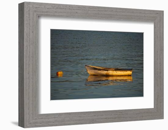 USA, Maine, Small Row Boat Anchored at Bar Harbor-Joanne Wells-Framed Photographic Print