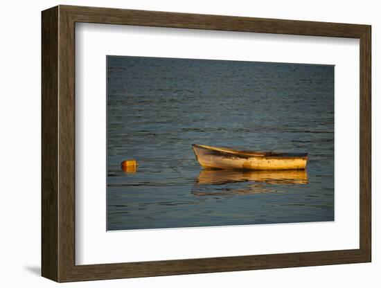 USA, Maine, Small Row Boat Anchored at Bar Harbor-Joanne Wells-Framed Photographic Print